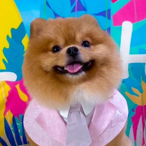 สมาชิกหมายเลข 8836554