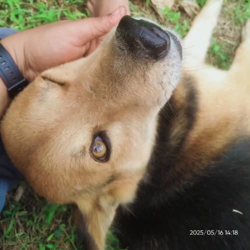 สมาชิกหมายเลข 8838170