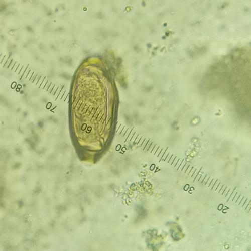 สมาชิกหมายเลข 8838389