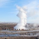 แมวชั้นชื่อมอริส