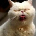 สมาชิกหมายเลข 3220492