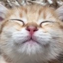 สมาชิกหมายเลข 3705086