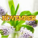 สมาชิกหมายเลข 4169196