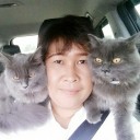 สมาชิกหมายเลข 4169526