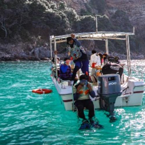 สมาชิกหมายเลข 2766177