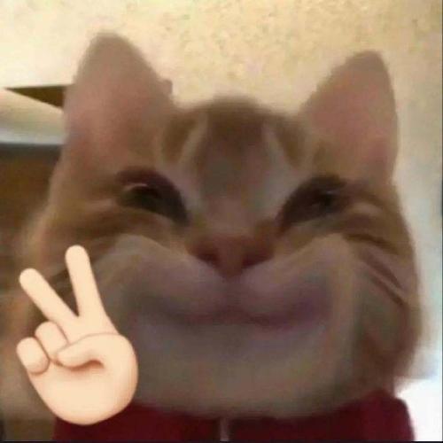 สมาชิกหมายเลข 6537851