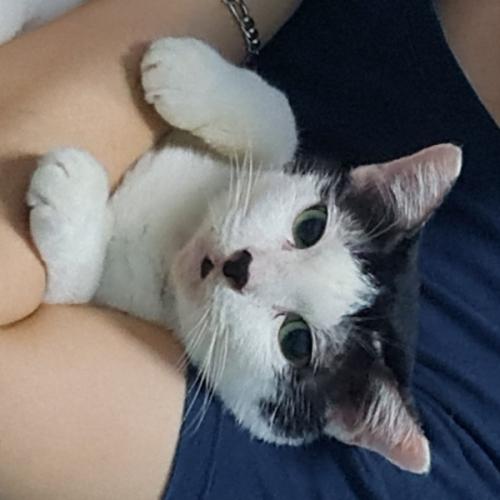 สมาชิกหมายเลข 6794679