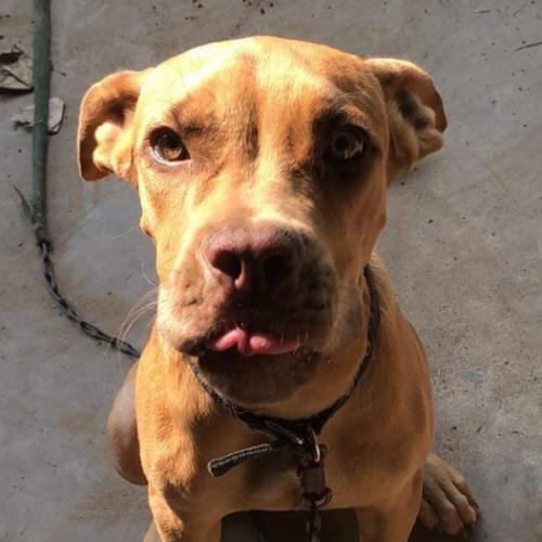 สมาชิกหมายเลข 7788047