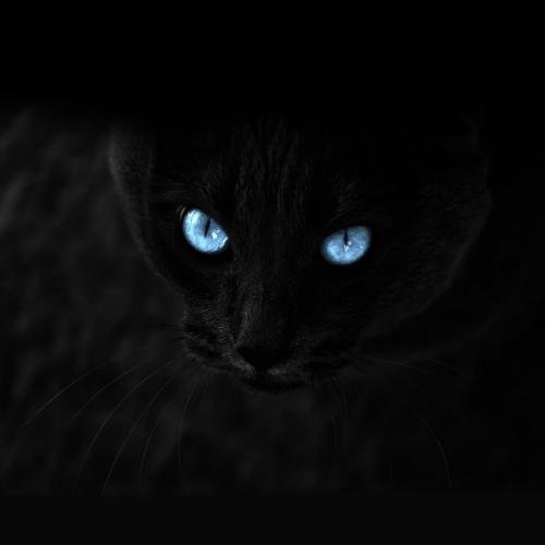 สมาชิกหมายเลข 809332