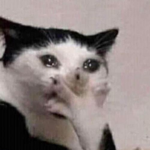 สมาชิกหมายเลข 8635349