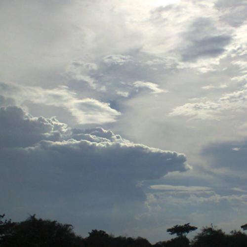 สมาชิกหมายเลข 3636175