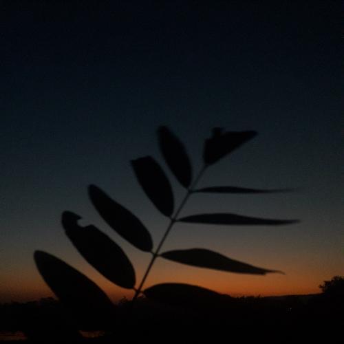 สมาชิกหมายเลข 4900214