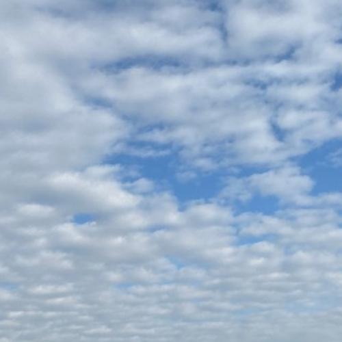 สมาชิกหมายเลข 1392418