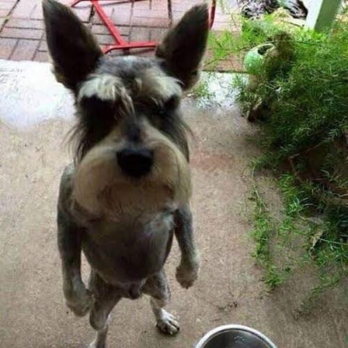 สมาชิกหมายเลข 4833560