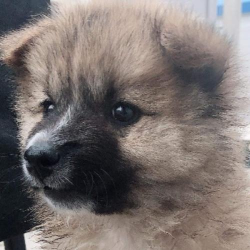 สมาชิกหมายเลข 5756514