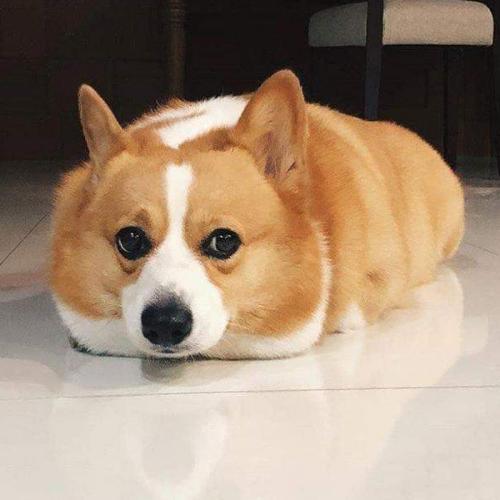 สมาชิกหมายเลข 5774720