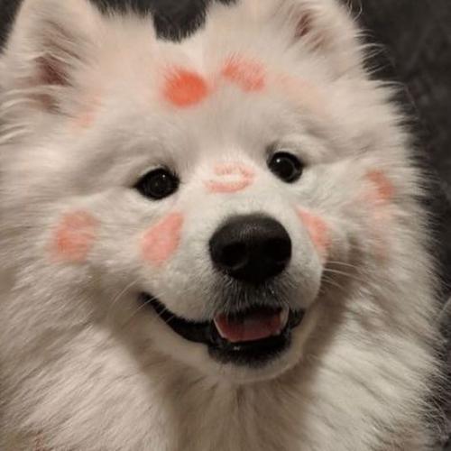 สมาชิกหมายเลข 5785580