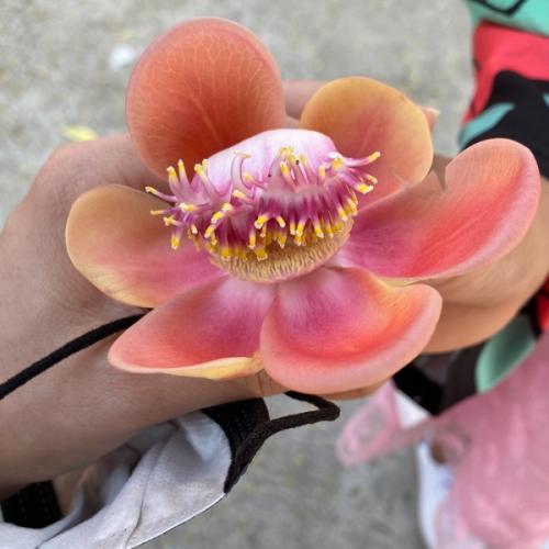 สมาชิกหมายเลข 3646011