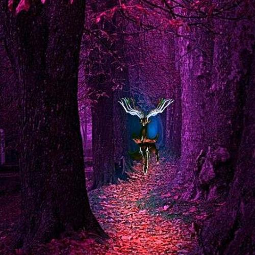 สมาชิกหมายเลข 7016915