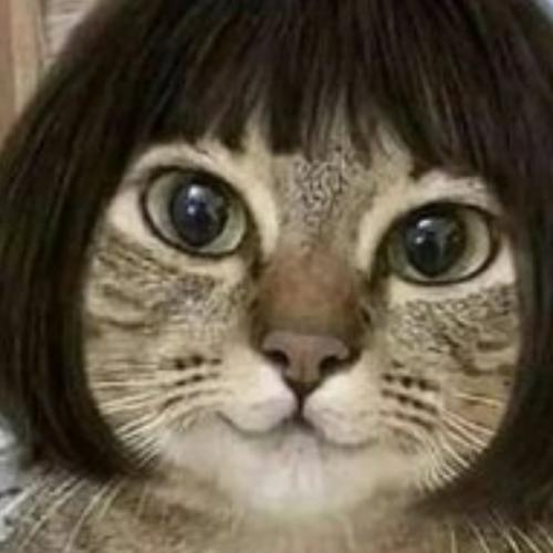 แมวเต๋อ