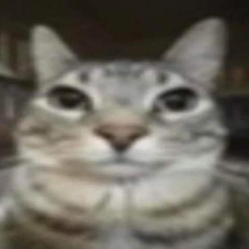 สมาชิกหมายเลข 7847332