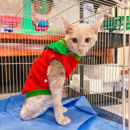 สมาชิกหมายเลข 7847766