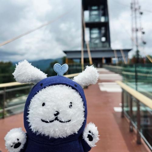 สมาชิกหมายเลข 7024921