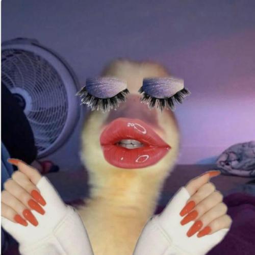 สมาชิกหมายเลข 8571215