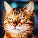 กิเลสย่อมระงับด้วยการไปซื้อมา