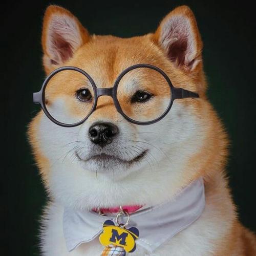 สมาชิกหมายเลข 5317272