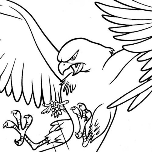 สมาชิกหมายเลข 5785498