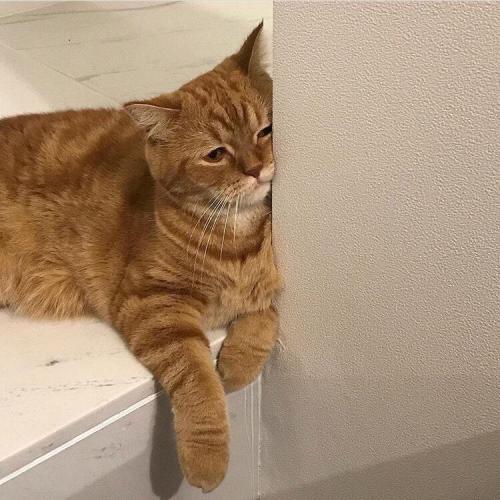 สมาชิกหมายเลข 5786164