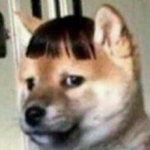 สมาชิกหมายเลข 4415438