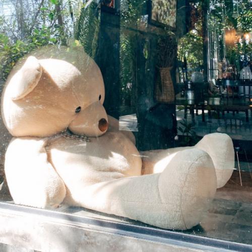 สมาชิกหมายเลข 6387277