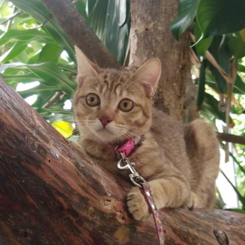 สมาชิกหมายเลข 6387311