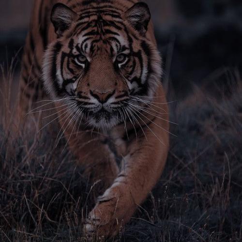 สมาชิกหมายเลข 2425728