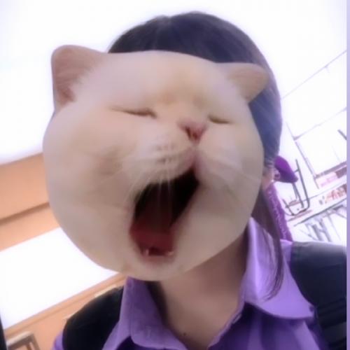 สมาชิกหมายเลข 6947802