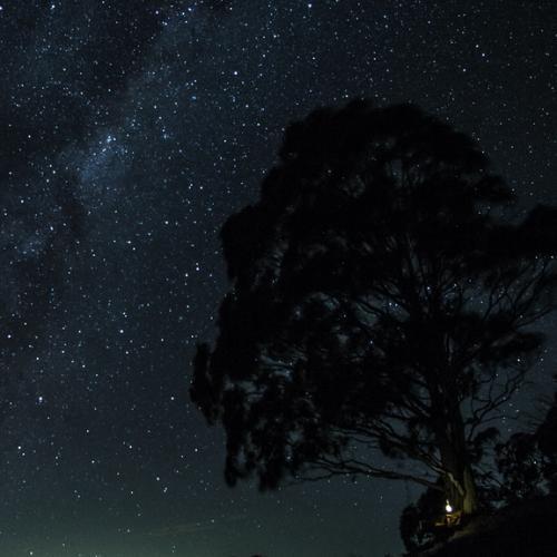 สมาชิกหมายเลข 4579725