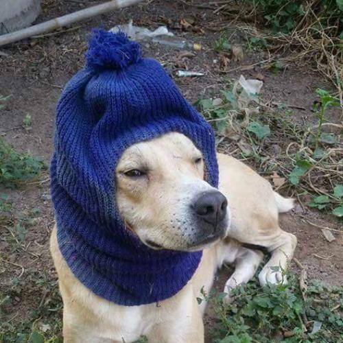 สมาชิกหมายเลข 1913918