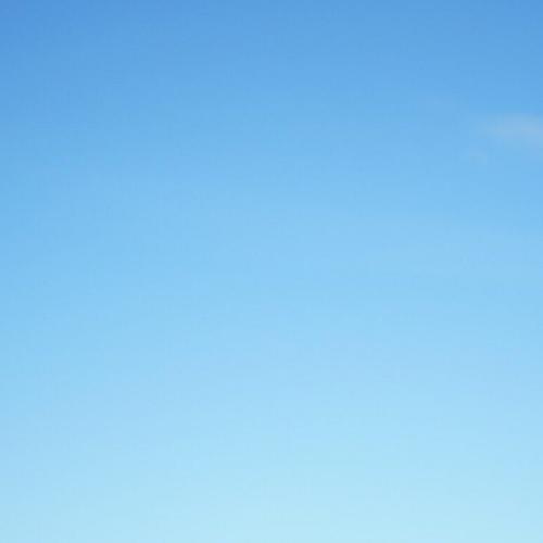 สมาชิกหมายเลข 4923659