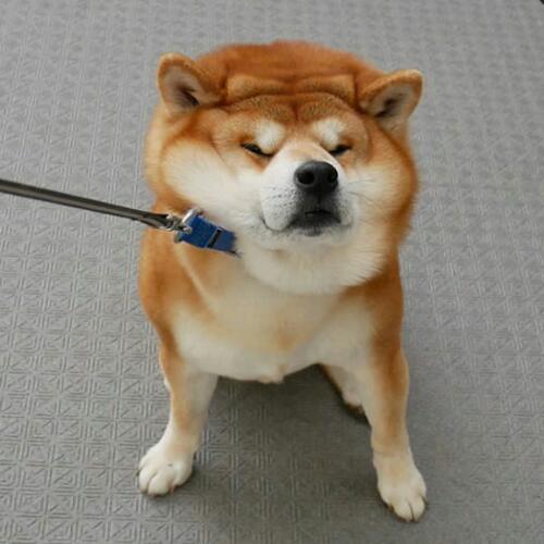 สมาชิกหมายเลข 895948