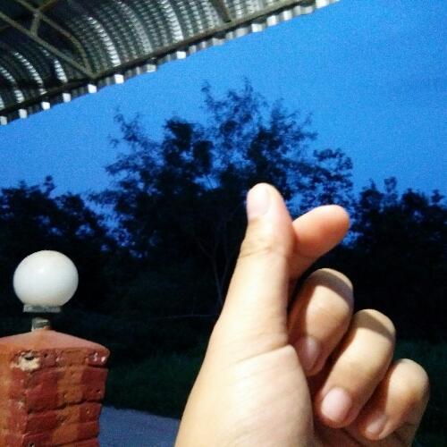 สมาชิกหมายเลข 5260699