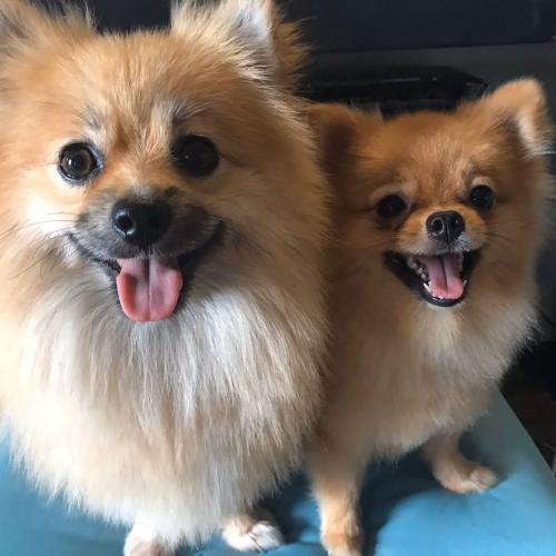 สมาชิกหมายเลข 4955696