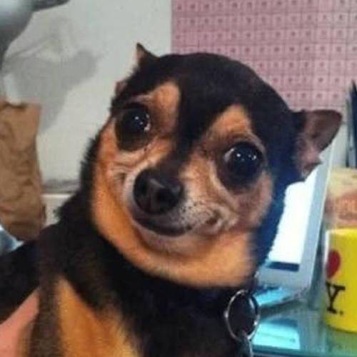 สมาชิกหมายเลข 5786497