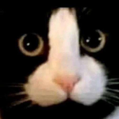 บางอย่างสอนให้เราทน