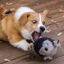 สมาชิกหมายเลข 3709047