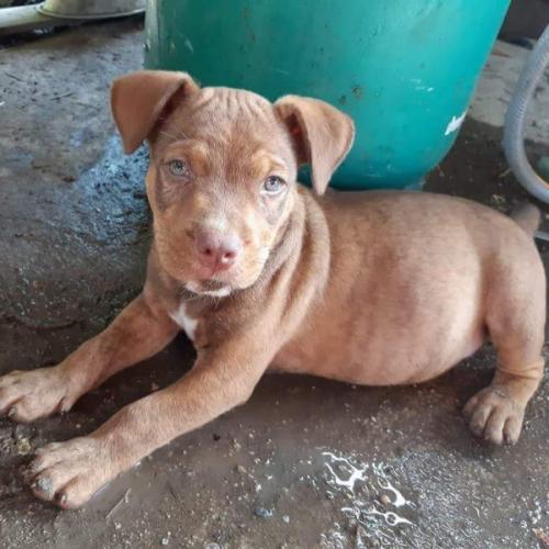 สมาชิกหมายเลข 3076351