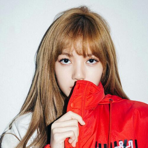 สมาชิกหมายเลข 4924275