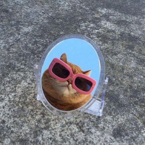 สมาชิกหมายเลข 4924370