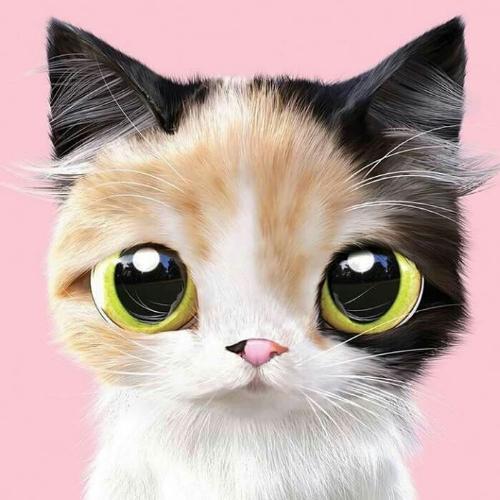 สมาชิกหมายเลข 4650930